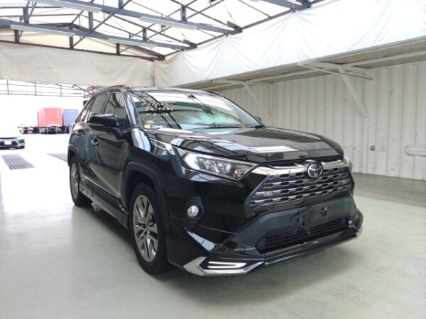 2019 TOYOTA RAV4